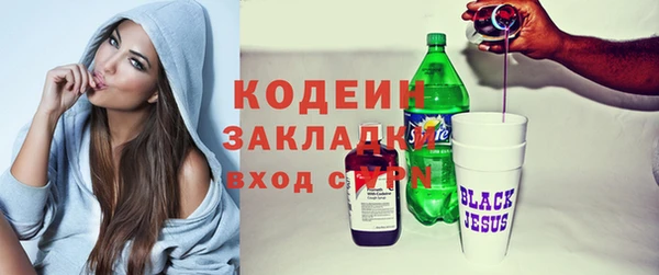 МДПВ Пересвет
