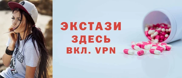 МДПВ Пересвет