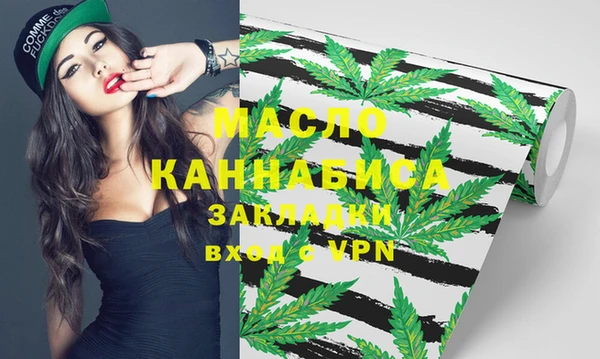 МДПВ Пересвет
