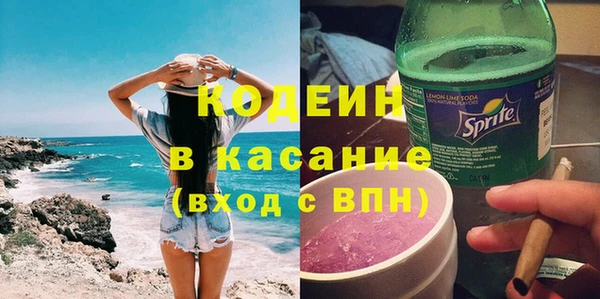 МДПВ Пересвет