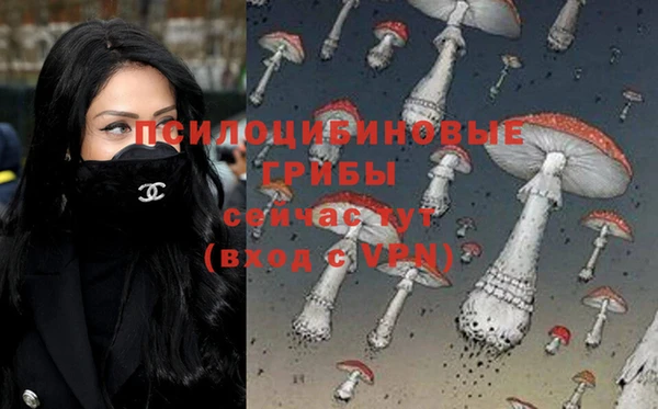 дживик Покров