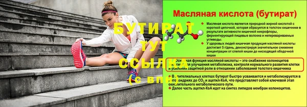 МДПВ Пересвет