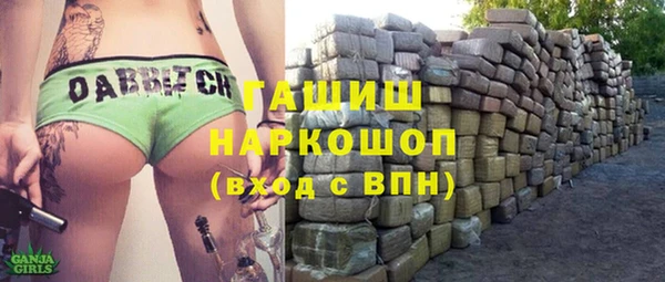 МДПВ Пересвет