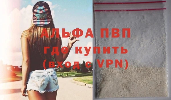 МДПВ Пересвет