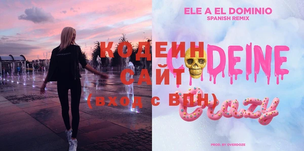 МДПВ Пересвет