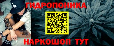 прущие крисы Беслан