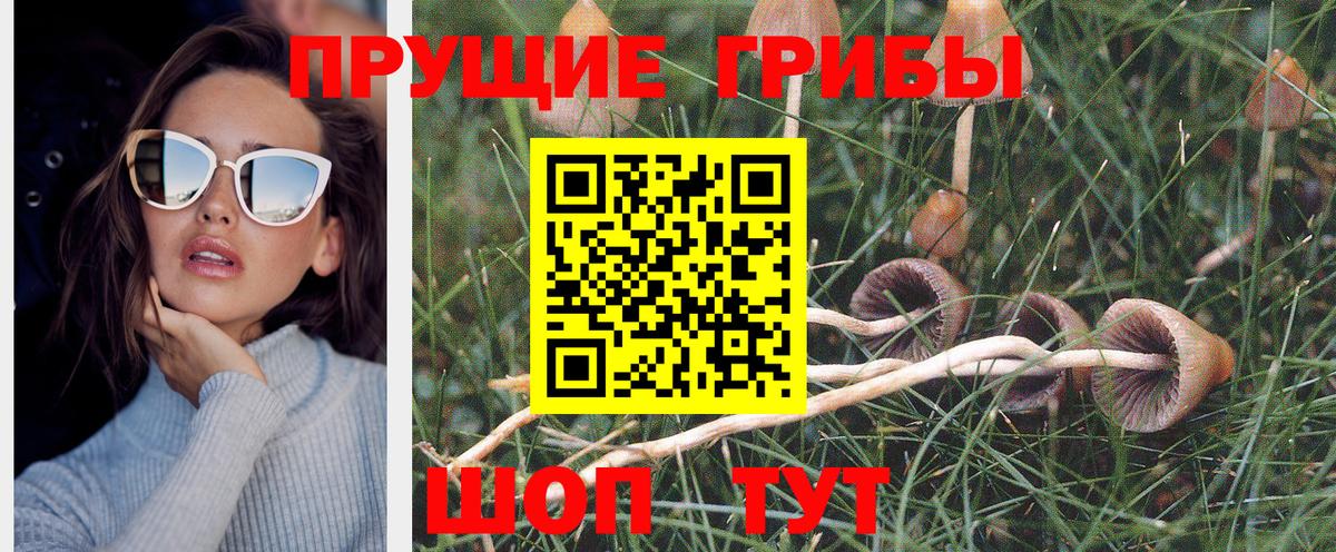 Галлюциногенные грибы мицелий  Псилоцибиновые грибы ЛСД  Лосино-Петровский 