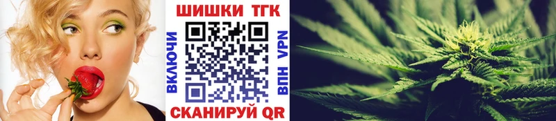 где можно купить наркотик  Лосино-Петровский  darknet Telegram  Каннабис индика 